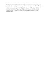 Eseja 'Ojārs Vācietis "Zibens pareizrakstība”', 8.