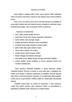 Referāts 'Vizuālās reklāmas elementu raksturojums un nozīme jogurta "Oga" reklāmās', 7.