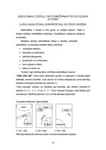 Referāts 'Vizuālās reklāmas elementu raksturojums un nozīme jogurta "Oga" reklāmās', 16.