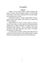 Referāts 'Vīna gatavošana Francijas dienvidrietumu apgabalos', 7.