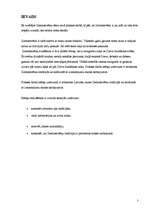 Prakses atskaite 'Tradīcijas un skola', 3.