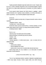 Konspekts 'Latvijas ekonomikas vēsture no 9.-18.gadsimtam', 7.