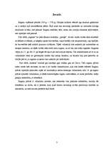 Referāts 'Raganu prāvas viduslaikos', 3.