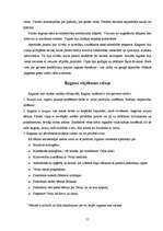 Referāts 'Raganu prāvas viduslaikos', 11.