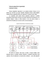 Referāts 'Komunikācija un lēmumu pieņemšana organizācijā', 7.