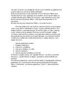 Konspekts 'Filma "Dvēseļu putenis"', 2.