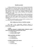 Referāts 'Salto atpakaļ no vietas', 2.