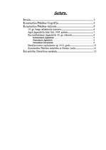 Referāts 'Arhitekts Konstantīns Pēkšēns', 2.