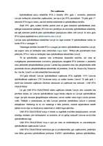 Referāts 'Latvijas uzņēmuma darbība starptautiskajā tirgū. BTA Draudimas', 3.