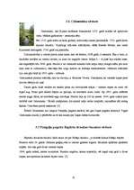 Referāts 'Pampāļu pagasta kultūrvēsturiskais mantojums', 8.