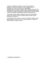 Biznesa plāns 'IK "DatorKaķis"', 3.