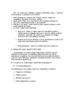 Biznesa plāns 'IK "DatorKaķis"', 6.