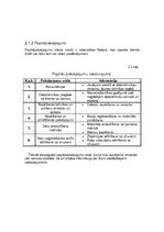 Biznesa plāns 'IK "DatorKaķis"', 8.