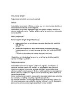 Biznesa plāns 'IK "DatorKaķis"', 20.