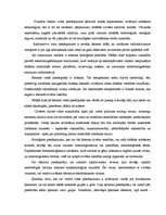 Eseja 'Dabas piesārņojums', 2.