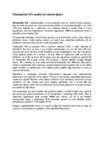 Eseja 'Mazkapitāla SIA analīze un raksturojums', 1.