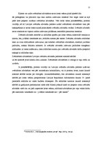 Referāts 'Jurista darbības veidi', 11.