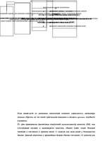 Diplomdarbs 'A/S bankas "Paritāte" finansiālā analīze', 19.