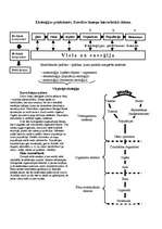 Konspekts 'Kas ir ekoloģija?', 3.