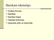 Prezentācija 'Baroka laika kokgriezumi Kurzemē', 2.