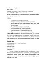 Konspekts 'Nodarbība pirmsskolā. Tēma - profesijas', 5.