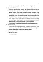 Biznesa plāns 'Biznesa plāns SIA "AT management"', 9.