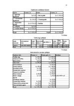 Biznesa plāns 'Biznesa plāns SIA "AT management"', 13.