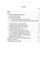 Diplomdarbs 'Pārdošanas veicināšanas pasākumi uzņēmumā "Balva"', 1.