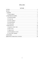 Referāts 'Upurēšanas rituāls daoisma tradīcijā', 2.