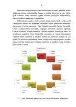 Referāts 'E-pakalpojumu attīstība Latvijā', 8.