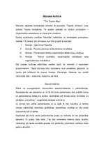 Referāts 'Japānas eksporta preces un tirgus profils', 18.