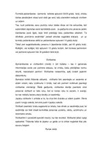 Referāts 'Japānas eksporta preces un tirgus profils', 19.