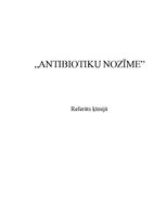 Referāts 'Antibiotiku nozīme', 1.