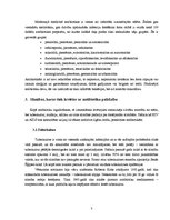 Referāts 'Antibiotiku nozīme', 3.