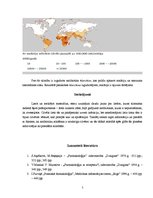 Referāts 'Antibiotiku nozīme', 5.