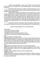 Referāts 'Džudo biomehānika', 3.