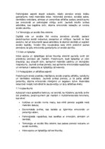 Referāts 'Kāpēc mūsdienu jaunieši izvēlas piedzīvojumus, nevis mantas', 12.