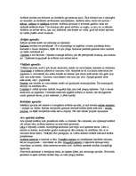 Referāts 'Acis', 5.