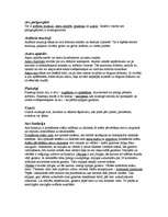 Referāts 'Acis', 6.