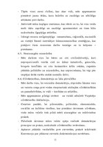 Referāts 'Apvienoto Nāciju Organizācija', 11.