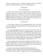 Referāts '2009.gada 13.janvāris - tautas atmoda vai "bruģa revolūcija"', 7.