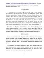 Referāts '2009.gada 13.janvāris - tautas atmoda vai "bruģa revolūcija"', 8.