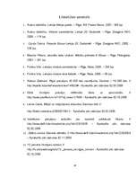Referāts '2009.gada 13.janvāris - tautas atmoda vai "bruģa revolūcija"', 16.
