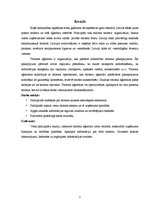 Referāts 'Tūrisma aģentūru sektora raksturojums', 3.