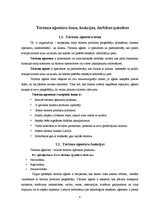 Referāts 'Tūrisma aģentūru sektora raksturojums', 4.