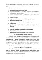 Referāts 'Tūrisma aģentūru sektora raksturojums', 5.