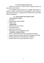 Referāts 'Tūrisma aģentūru sektora raksturojums', 6.