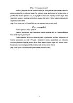 Referāts 'Tūrisma aģentūru sektora raksturojums', 9.