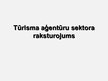 Referāts 'Tūrisma aģentūru sektora raksturojums', 13.