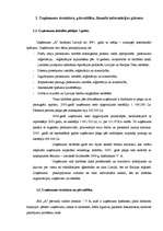 Prakses atskaite 'Uzņēmuma darbība', 1.